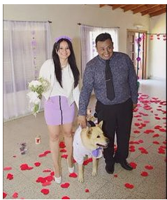 Pareja se casa y elige a su perro como testigo de ceremonia: las fotos se  volvieron virales – 